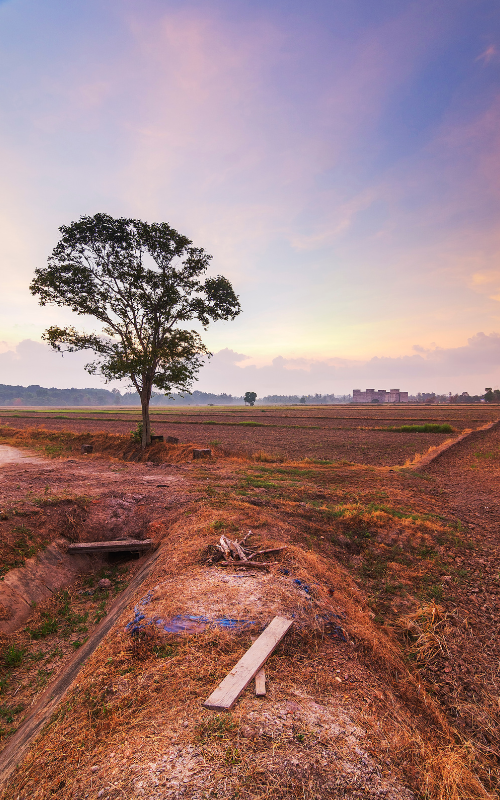 El Niño likely to develop later this year to fuel global temperature