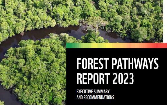 Forest Pathways 2023 report